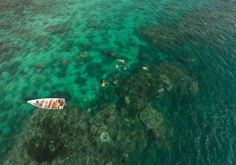 Chumbe Island Coral Tour