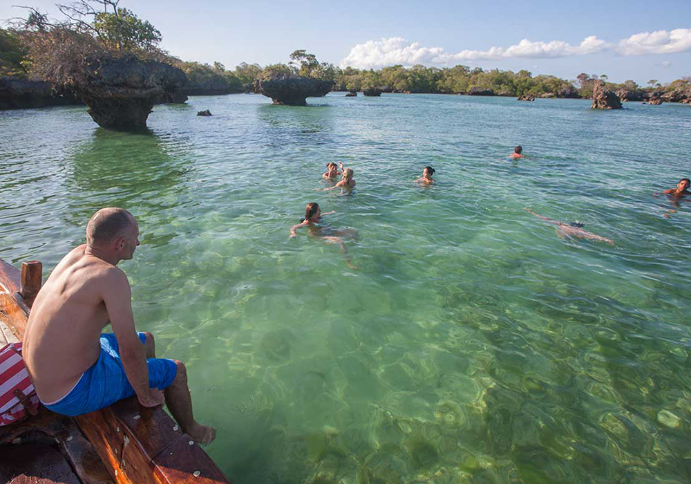 Safari Blue Sea Adventure