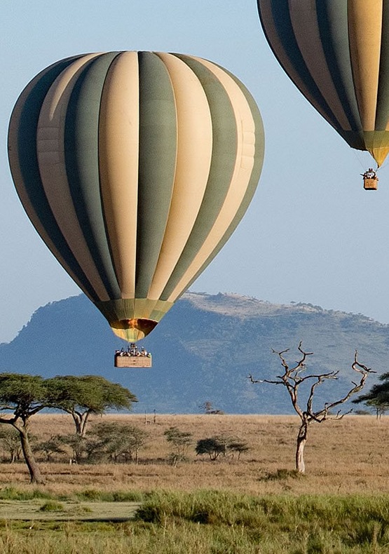 Tanzania Safaris and Beach Vacations