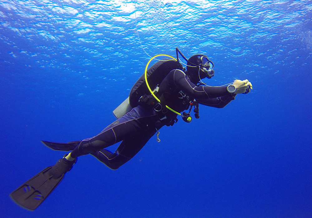 Diving & Snorkeling